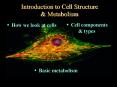 Introduction to Cell Structure PowerPoint PPT Presentation