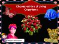 CHARACTERISTICS OF LIVING ORGANIMS BY MAGGIE'S TEACHING FILES PowerPoint PPT Presentation