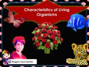CHARACTERISTICS OF LIVING ORGANIMS BY MAGGIE'S TEACHING FILES