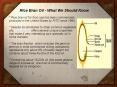 Rice Bran Oil - What We Should Know PowerPoint PPT Presentation