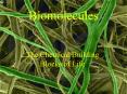 Biomolecules PowerPoint PPT Presentation