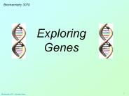 Exploring Genes