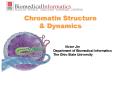 Chromatin Structure PowerPoint PPT Presentation