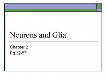Neurons and Glia