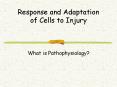 Response and Adaptation of Cells to Injury PowerPoint PPT Presentation