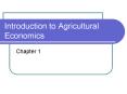 Introduction to Agricultural Economics PowerPoint PPT Presentation