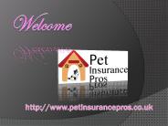 Pet Insurance