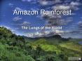 Amazon Rainforest PowerPoint PPT Presentation