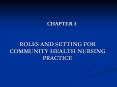 ROLES AND SETTING FOR COMMUNITY HEALTH NURSING PRACTICE PowerPoint PPT Presentation