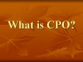 What is CPO? PowerPoint PPT Presentation