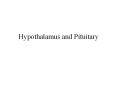 Hypothalamus and Pituitary Hypothalamus and Pituitary Th PowerPoint PPT Presentation
