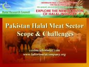 Pakistan Halal Meat Sector Scope