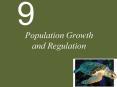 Population Growth and Regulation PowerPoint PPT Presentation