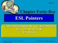 Chapter Forty-five ESL Pointers College Writing Skills, 5 PowerPoint PPT Presentation