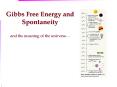 Gibbs Free Energy and Spontaneity and the meaning of the universe PowerPoint PPT Presentation