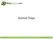 How To Use Animal Traps | ePestSolutions