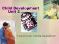 Pregnancy and Prenatal Development PowerPoint PPT Presentation