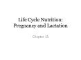Life Cycle Nutrition: Pregnancy and Lactation PowerPoint PPT Presentation