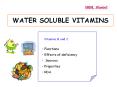 WATER SOLUBLE VITAMINS Vitamins B and C Functions Effects o PowerPoint PPT Presentation