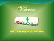 Green Coffee Extract