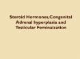 Steroid Hormones,Congenital Adrenal hyperplasia and Testicular Feminaization PowerPoint PPT Presentation