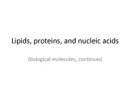 Lipids, proteins, and nucleic acids