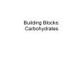 Building Blocks: Carbohydrates PowerPoint PPT Presentation