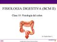 FISIOLOGIA DIGESTIVA (BCM II) PowerPoint PPT Presentation