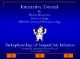 Interactive Tutorial PowerPoint PPT Presentation