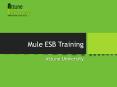 Mule ESB Training PowerPoint PPT Presentation