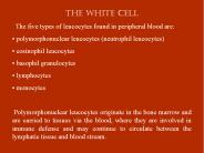 The white cell