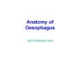 Anatomy of Oesophagus PowerPoint PPT Presentation