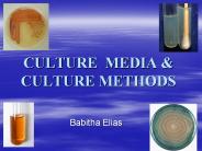 CULTURE MEDIA