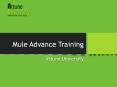 Mule Essential Advanced Training PowerPoint PPT Presentation
