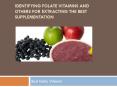 Identifying Folate Vitamins And Others For Extracting The Best Supplementation PowerPoint PPT Presentation