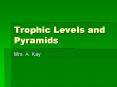 Trophic Levels and Pyramids PowerPoint PPT Presentation