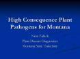 High Consequence Plant Pathogens for Montana PowerPoint PPT Presentation