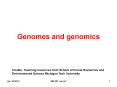 Genomes and genomics PowerPoint PPT Presentation