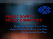 PUBLIC SAFETY POLICY COMMITTEE