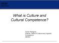 What is Culture and Cultural Competence? PowerPoint PPT Presentation