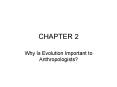 Why Is Evolution Important to Anthropologists? PowerPoint PPT Presentation