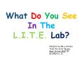 What Do You See In The L.I.T.E. Lab? PowerPoint PPT Presentation