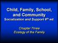 Child, Family, School,  and Community Socialization and Support 6th ed. PowerPoint PPT Presentation
