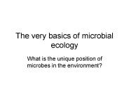 The very basics of microbial ecology