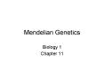 Mendelian Genetics PowerPoint PPT Presentation