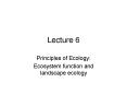 Principles of Ecology: PowerPoint PPT Presentation