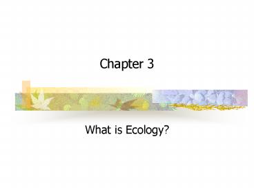 What is Ecology?