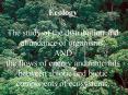 Ecology PowerPoint PPT Presentation