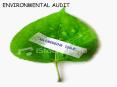ENVIRONMENTAL AUDIT PowerPoint PPT Presentation