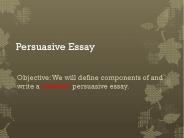 Persuasive Essay
